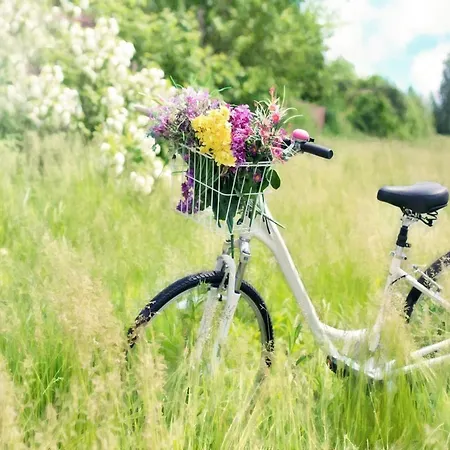 Directly By The Sea, Διαμέρισμα